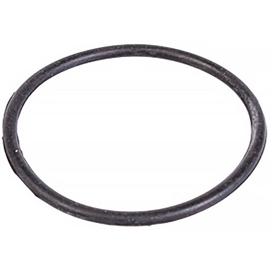 Gorenje \ Tiki Water Heater Gasket 487155