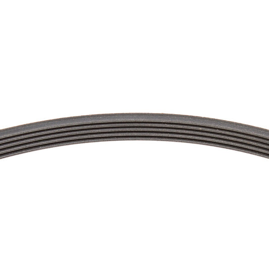 Belt for Washing Machine 1197J5 EL Hutchinson 481281718147