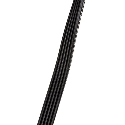 Megadyne Washing Machine Belt 1235J5 PJ 481281718164