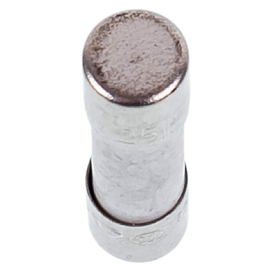 Electrolux Microwave Oven Ceramic Fuse 8A 250V 4055252029
