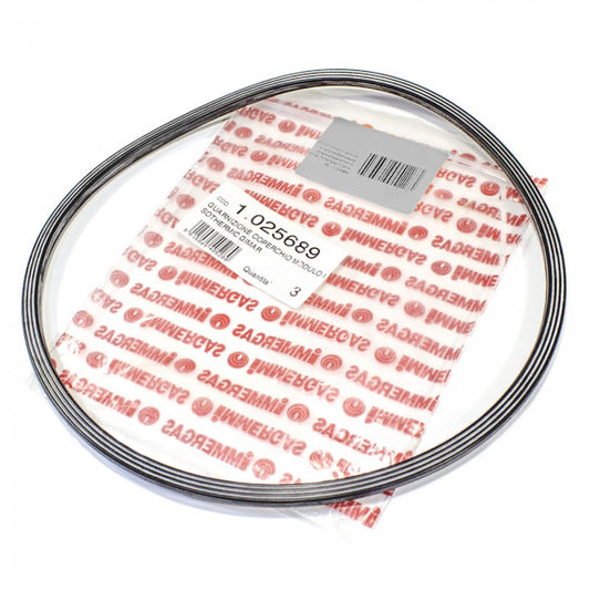 Burner seal for gas condensing boiler Immergas Victrix 26 1.025689