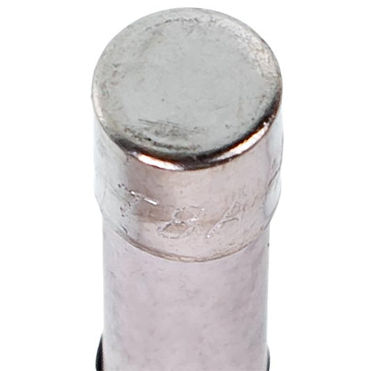 Fuse for Microwave Oven Zanussi 4055261046 8A 250V 20x5mm