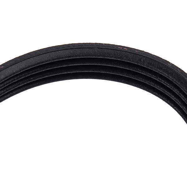 Hutchinson Washing Machine Drive Belt 1207J4 PJE  481235818204
