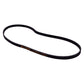 DeLonghi Bread Maker Drive Belt 80S3M621 YF3117