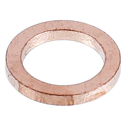 DeLonghi Coffee Maker Boiler Gasket 9850081500