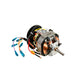 Kenwood Meat Grinder Motor KW715566