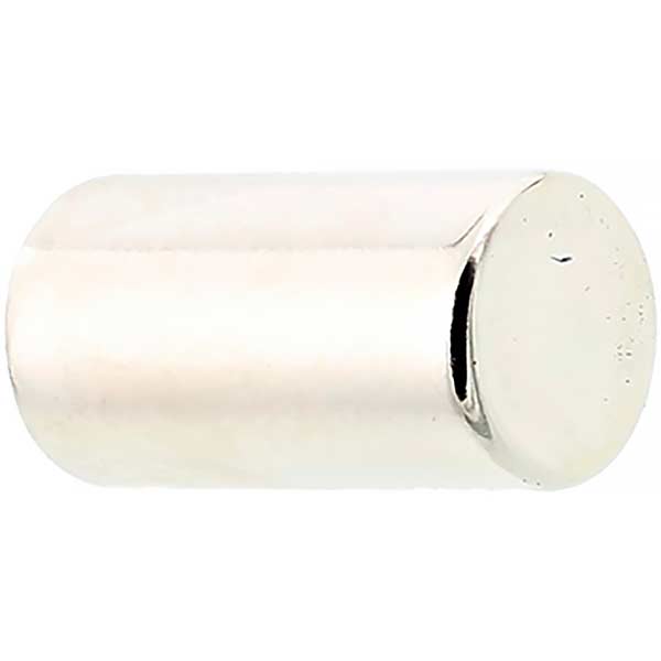 Electrolux Freezer Door Magnet D=8x15mm 2240076063