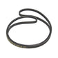 Megadyne Washing Machine Belt 1244J4EL PJE