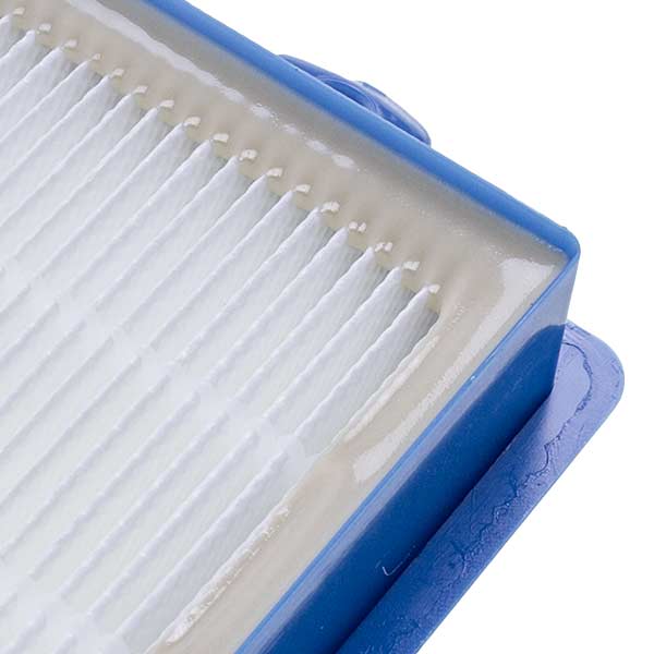 HEPA Filter Compatible with AEG/Electrolux/Philips/Thomas  9001677682