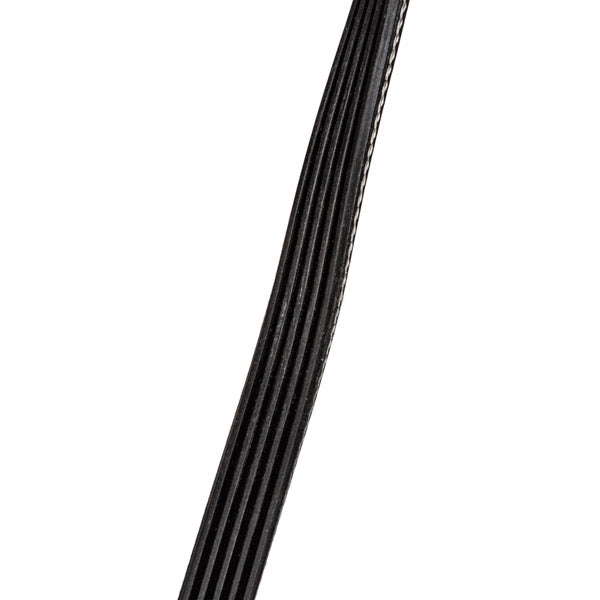 Megadyne Washing Machine Belt 1235J5 PJ 481281718164