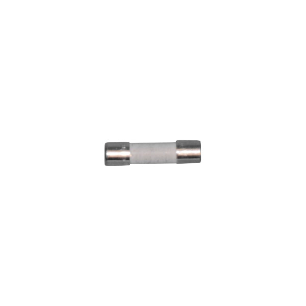 Gorenje Microwave Oven Ceramic Fuse 245769
