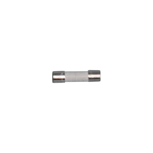 Gorenje Microwave Oven Ceramic Fuse 245769