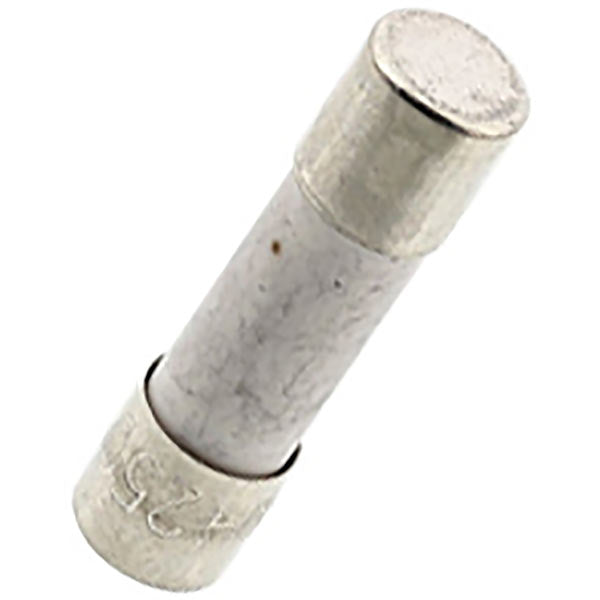 Electrolux Microwave Oven Ceramic Fuse 10A 4055084257