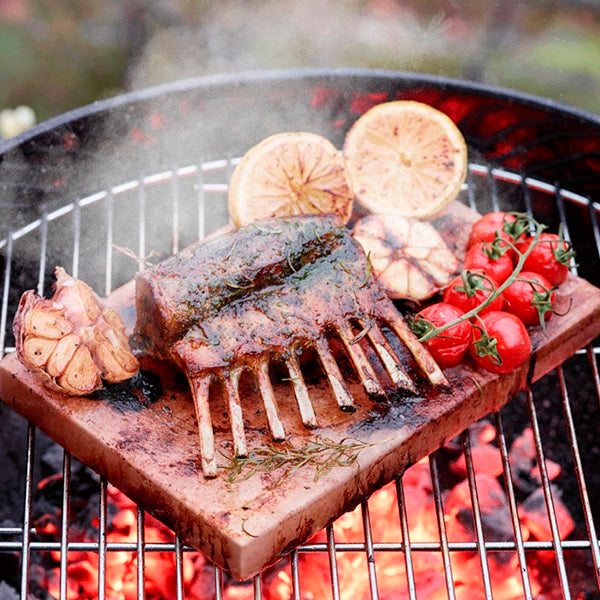 Electrolux Salt Block with Tray E2SLT (902979823)