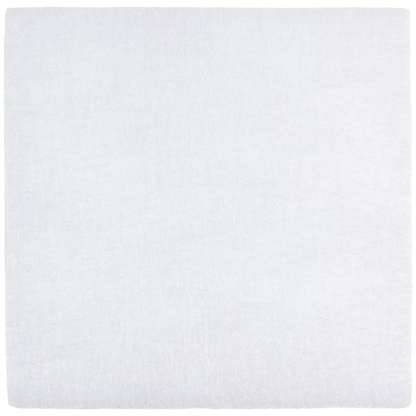 Electrolux Vacuum Cleaner Output Microfulter 4055309761