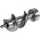 Meat Grinder Auger Compatible with Philips 996510073544