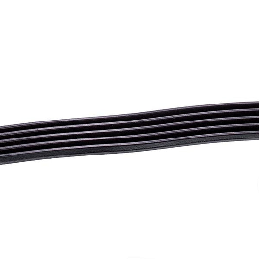 Universal 1255J5 PJE Optibelt Washing Machine Drive Belt