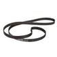 908092003041 Drive Belt Hutchinson 1160H8 PHE for Washing Machine