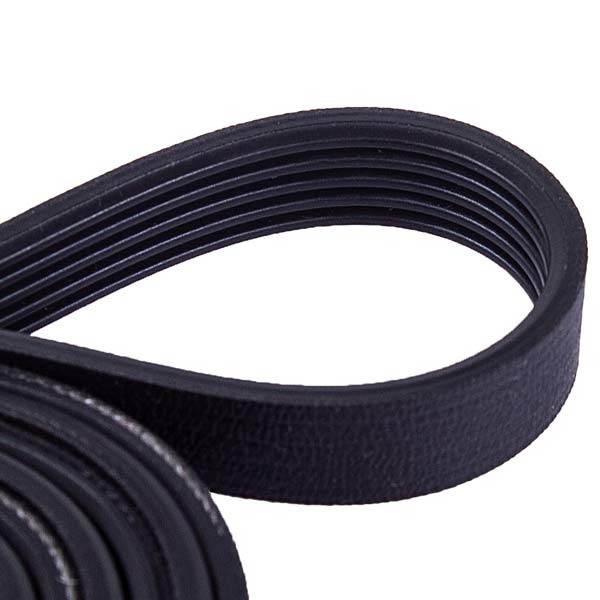 Drive Belt Optibelt 2816750200 1243J5 EL for Washing Machine