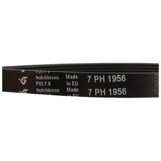Gorenje 562038 Hutchinson Tumble Dryer Drive Belt 1956H7 PH