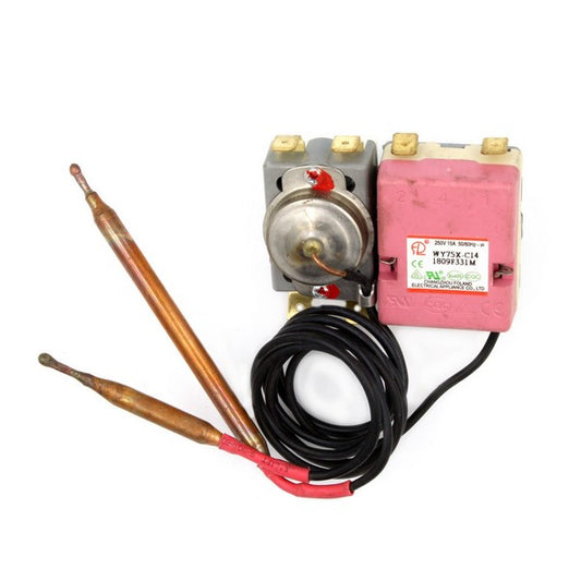 Water Heater Thermostat 75±5°C + Thermal Fuse 101±3°C PEONIY