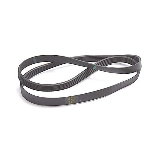 Megadyne 1365 J5 C00046149 Washing Machine Drive Belt