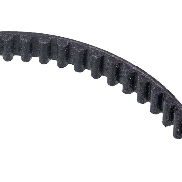 Electro Turbo Brush Belt for Vacuum Cleaner Zelmer 12000146