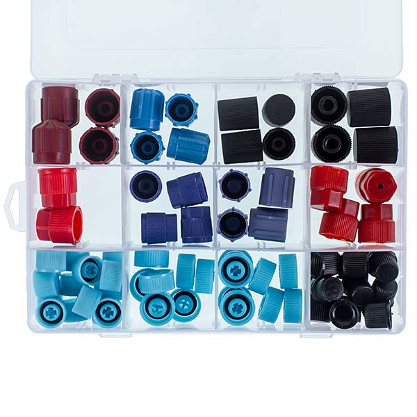 Cap set for car air conditioner service ports (78pcs)