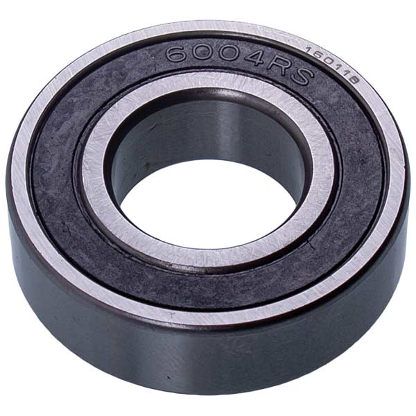 Vegetable Slicer Bearing Robot Coupe 29630 SKF 6004-2RS (20x42x12) with Repair Kit
