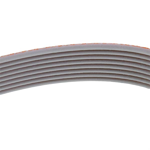 Slicer Belt Megadyne 19310205 TB2-310x8 orange