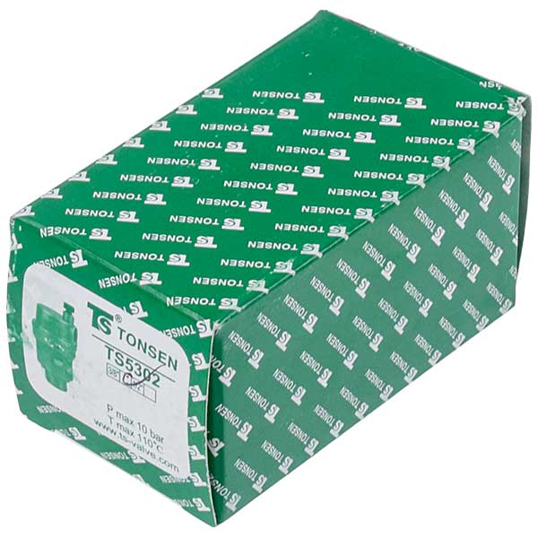 Gas-fired Boiler Auto Air Vent 3/8'' 1.017563 (universal)