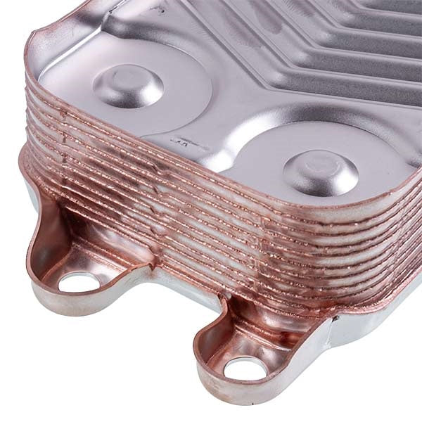 DHW Plate Heat Exchanger (12 plates) for Gas Boiler Compatible with Vaillant Atmo/Turbo/Eco TEC Pro, Protherm 0020059452