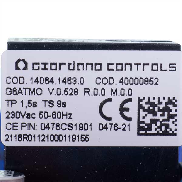 Gas-fired Boiler Control Board Biasi Rinnova M290E BI2605105