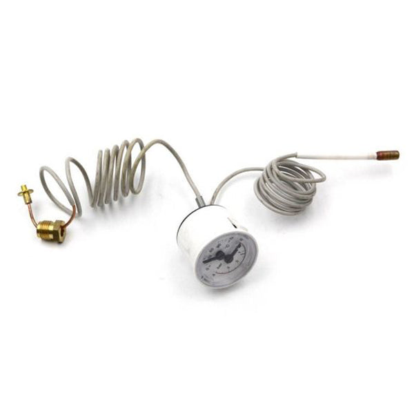 Thermomanometer 0-4 bar 0-120 °C for gas boiler Compatible with Immergas Mini/Star 1.013413