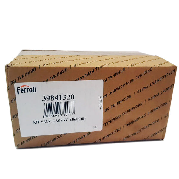 Gas-fired Boiler Gas Valve Bertelli&Partners SGV100 C110009 Ferroli 39841320