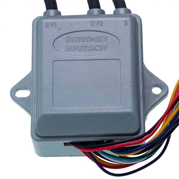 Gas Water Heaters Ignition Unit with Electrodes and Display Connector Edisson F