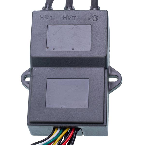 Gas Water Heaters Ignition Unit with Electrodes and Display Connector Etalon Y