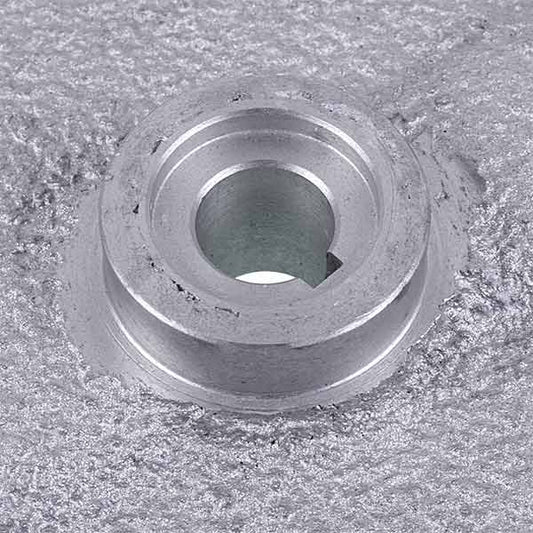 Abrasive disk for potato peeler Pasquini LF9735103 D=390mm