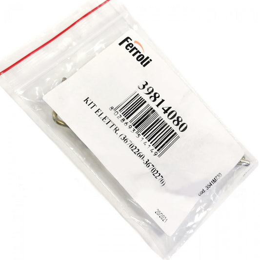 Ignition and Ionization Electrodes for Gas Boiler Ferroli Pegasus 39814080