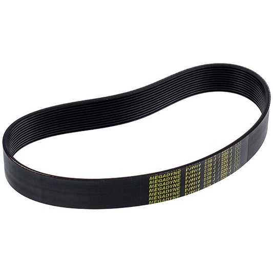 Belt for Potato Peeler Beckers BECPEL01034