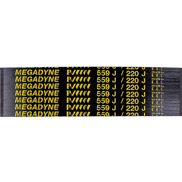 Belt for Potato Peeler Beckers BECPEL01034