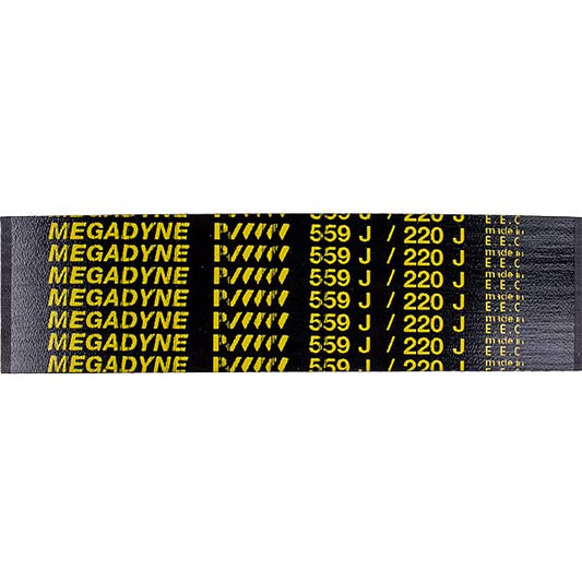 Belt for Potato Peeler Beckers BECPEL01034