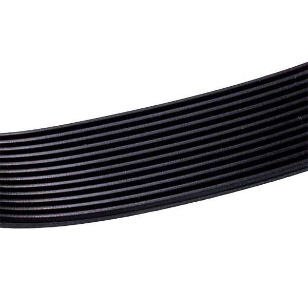 Belt for Potato Peeler Beckers BECPEL01034